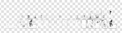 Chasing Delusional Dreams